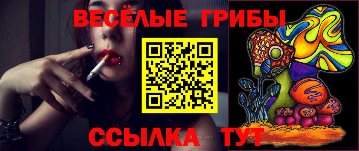 Пермь  Псилоцибиновые грибы прущие грибы  Вход с VPN 